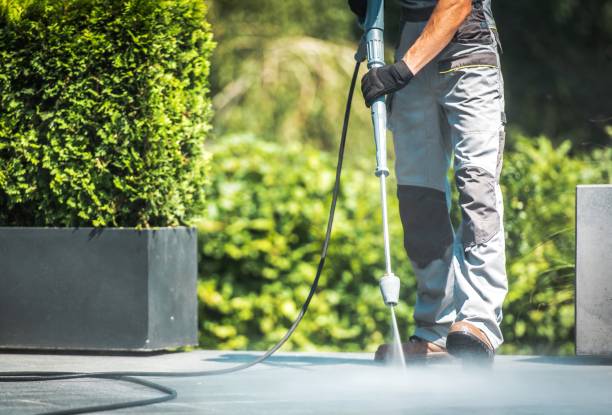 Best Sidewalk and Walkway Cleaning  in Wacousta, MI