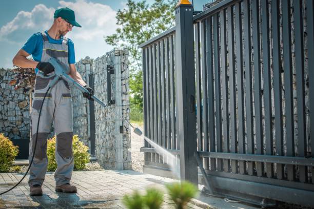 Best Graffiti Removal  in Wacousta, MI