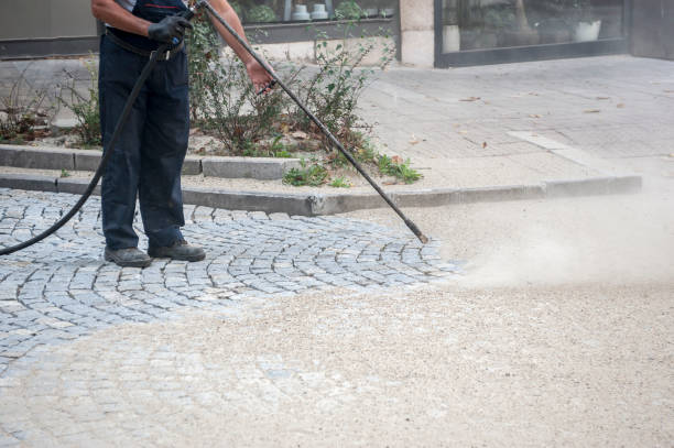 Best Sign and Awning Cleaning  in Wacousta, MI