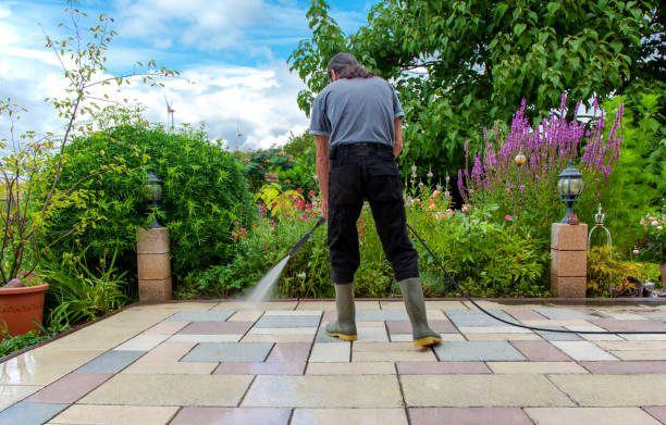 Best Driveway Pressure Washing  in Wacousta, MI