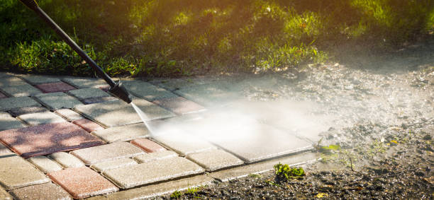 Best Gutter Cleaning  in Wacousta, MI