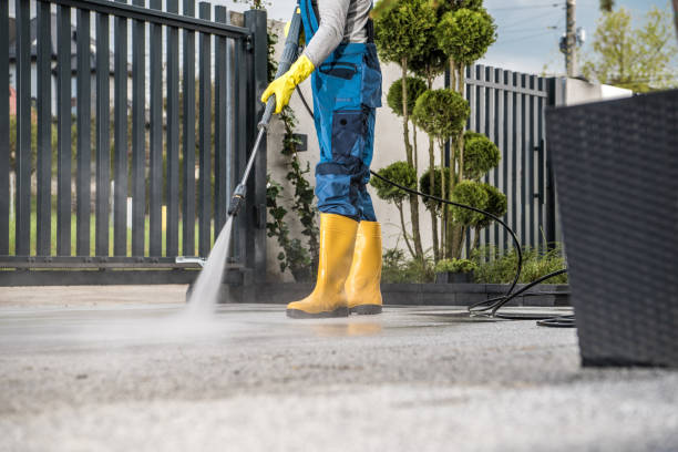 Best Building Exterior Washing  in Wacousta, MI
