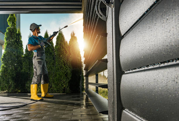 Best House Exterior Washing  in Wacousta, MI